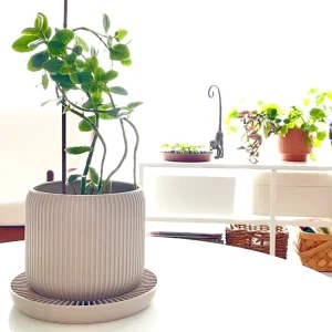 Maceta decorativa con bandeja integrada